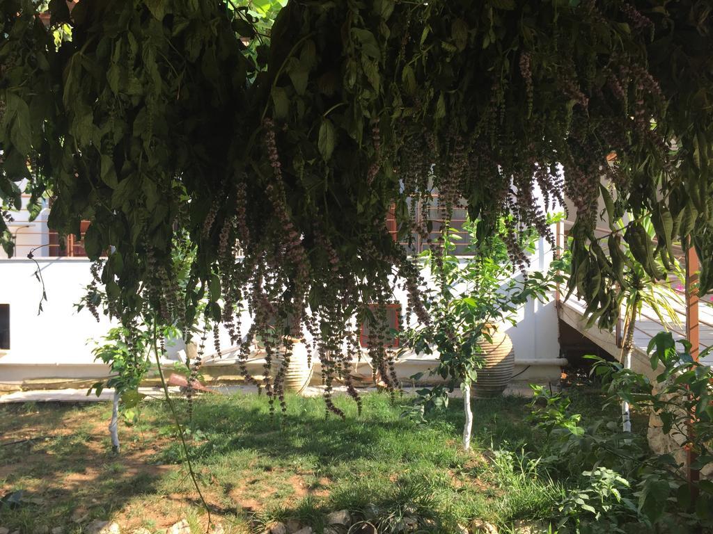 Hani Inn Ligourio Exterior photo
